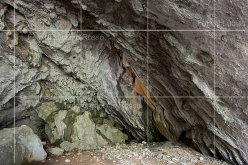 Clicca per vedere l'immagine alla massima grandezza