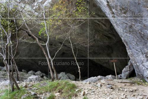 Clicca per vedere l'immagine alla massima grandezza